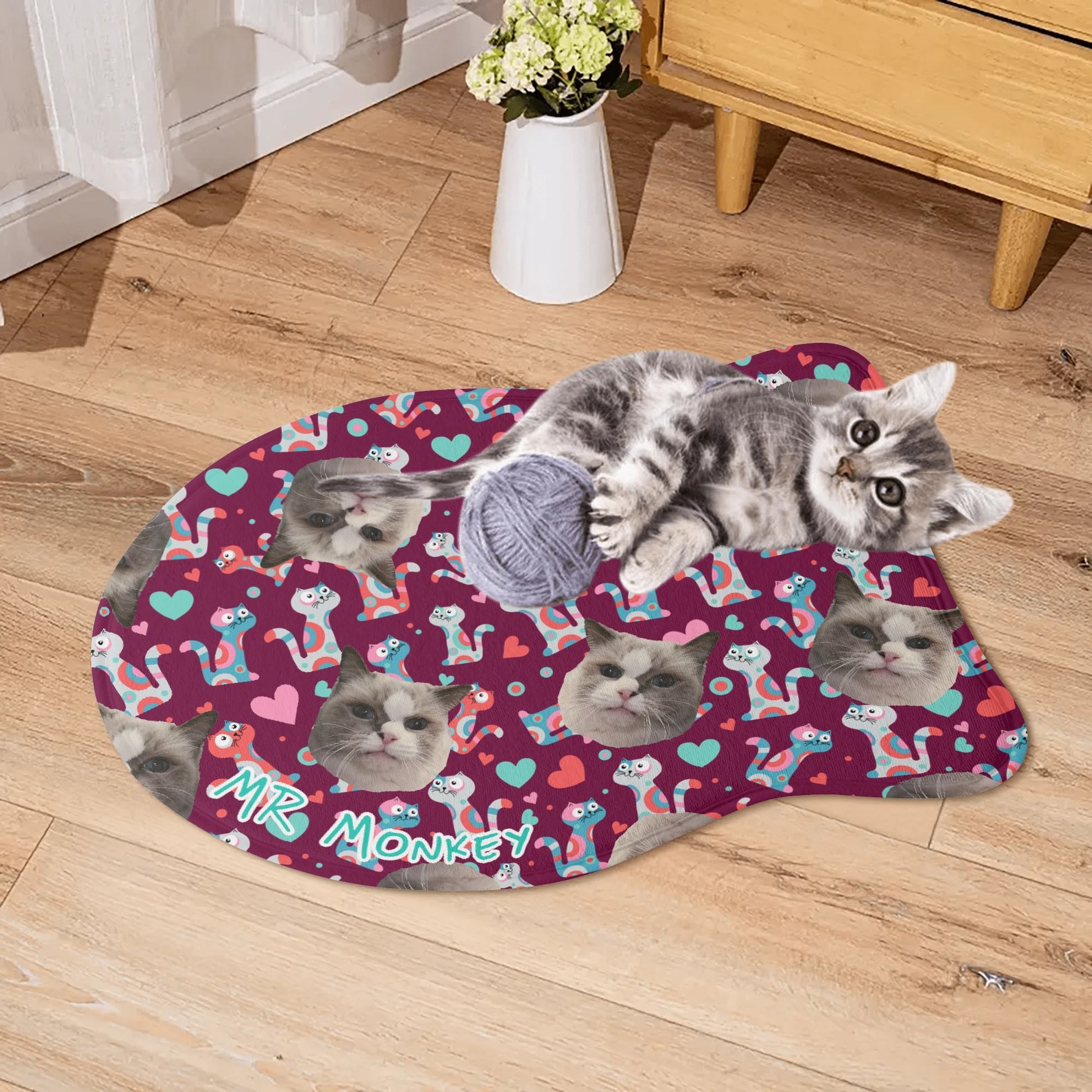 HEY PERTH PET MAT2