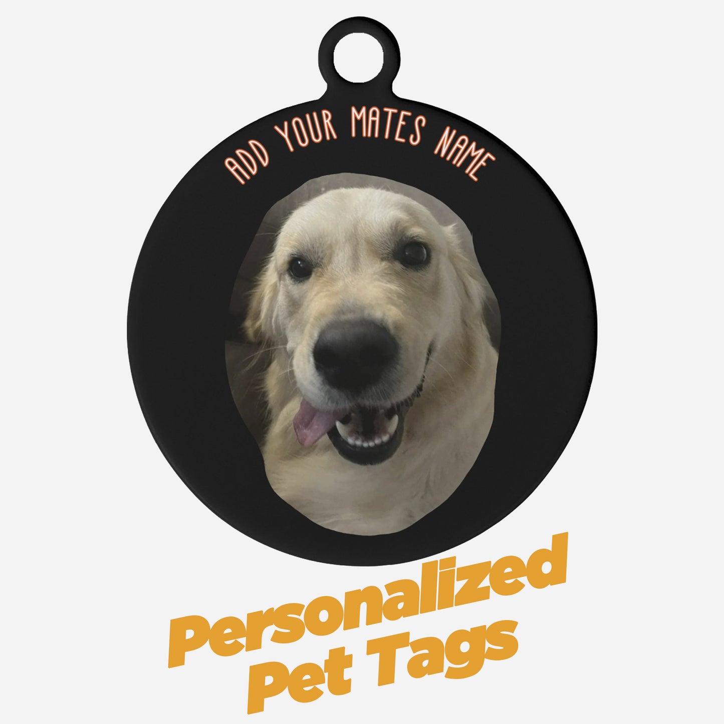 BURGERS & STEEL BUMPERS PET TAGS